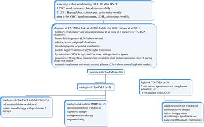 Transplant-associated thrombotic microangiopathy in pediatrics: incidence, risk factors, therapeutic options, and outcome based on data from a single center